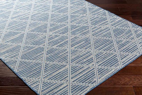 Livabliss Ravello RVL-2363 Rug