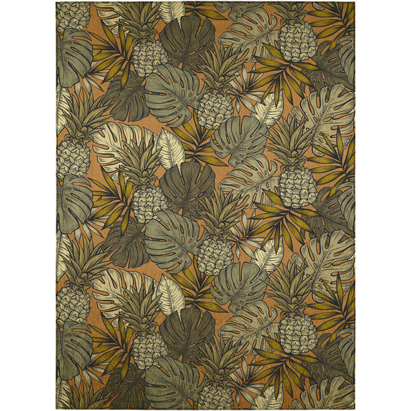 Dalyn Tropics TC11 Clay Rug