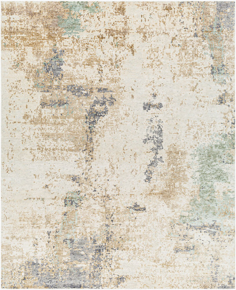 Surya Baranof BRF-1002 Rug