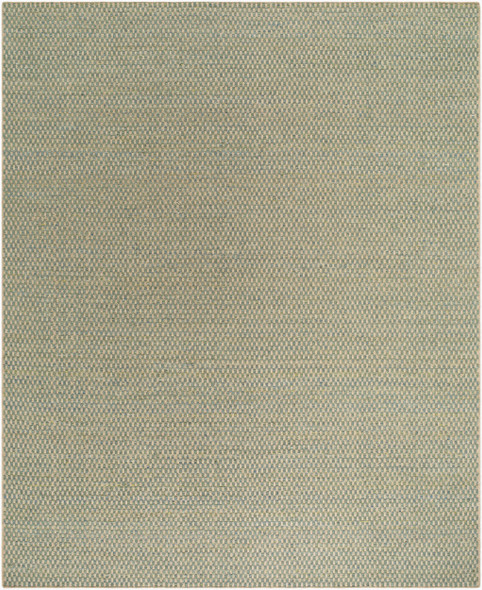 Surya Bolton BTO-2303 Rug