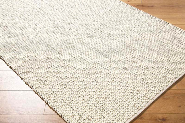 Surya Brea BRR-2301 Rug