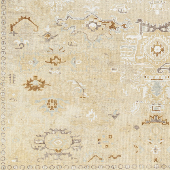 Surya Shiraz SHZ-2300 Rug
