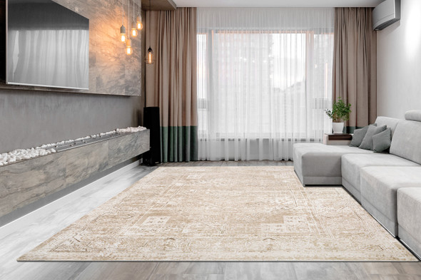 Dynamic Sahara 5973-810 Beige Ivory Rug