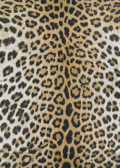 Couristan Dolce 5750 0003 Amur Leopard New Gold Rug