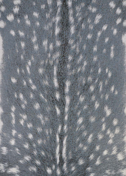 Couristan Dolce 5757 0700 Hyena Denim-Silver Rug