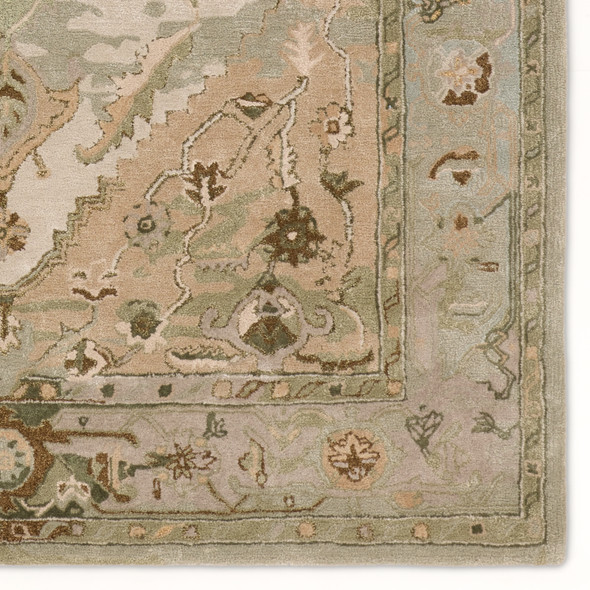 Jaipur Living Citrine CIT21 Raisa Rug