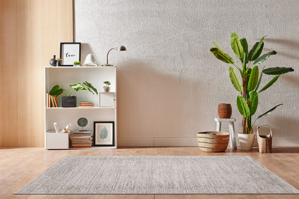 Dynamic Aimon 16656 980 Light Grey Beige Rug