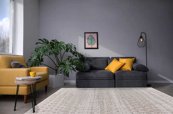 Dynamic Bliss 17581 891 Beige Grey Ivory Rug