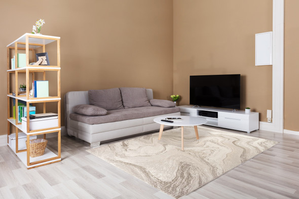 Dynamic Eclipse 63436 6575 Beige Rug