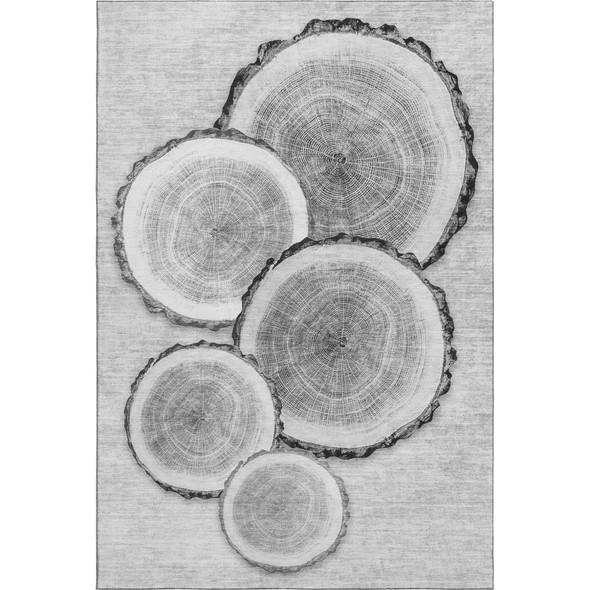 Addison Mayfield AMF575 Gray Rug