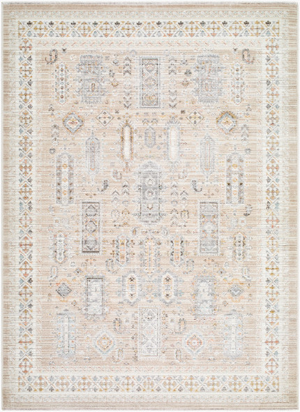 Livabliss Amir AMR-2300 Rug