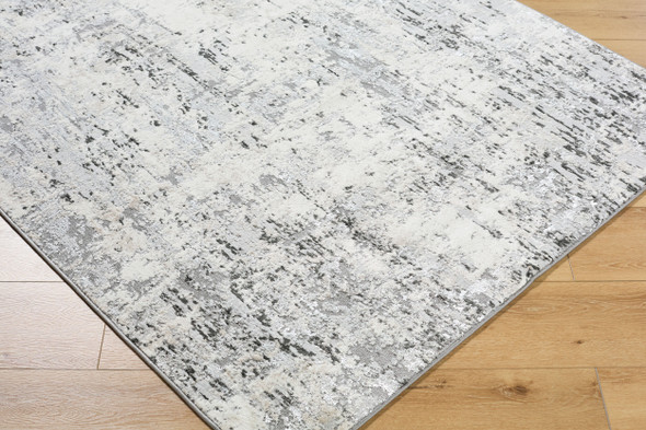 Livabliss Lustro LSR-2329 Rug