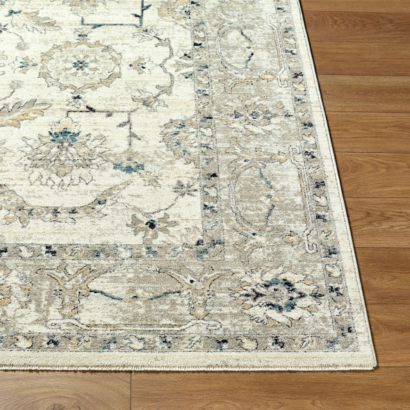 Livabliss Reflection RFL-2301 Rug