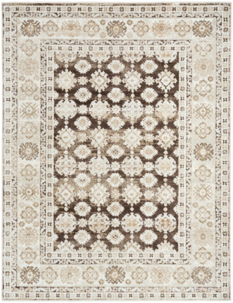 Nourison Dekor DEK02 Ivory Brown Rug