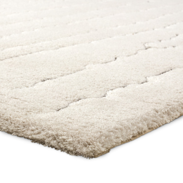 Jaipur Living Tazeka TAZ05 Basim Rug