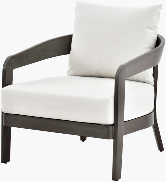 Surya Daniella DANE-001 Accent Chair