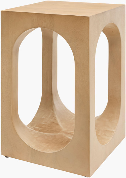 Surya Asner ASNR-001 End Table