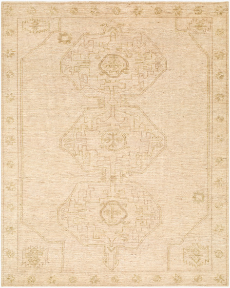 Surya Destiny DEY-2301 Rug