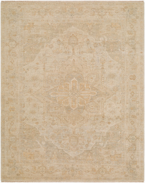 Surya Odyssey ODY-2309 Rug