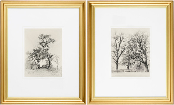 Surya Coconino COCO-001 Framed Art