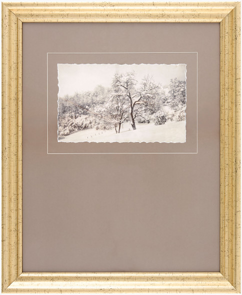 Surya Coconino COCO-004 Framed Art