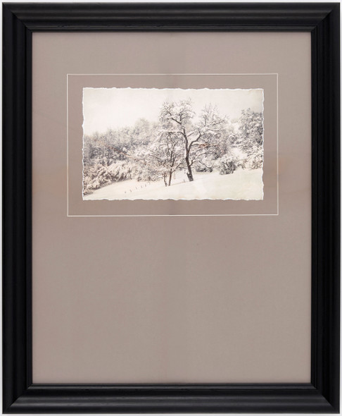 Surya Coconino COCO-006 Framed Art