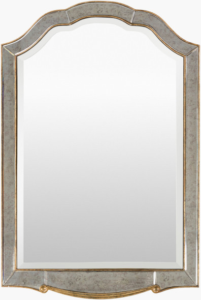 Livabliss Oleander OND-2500 Accent Mirror