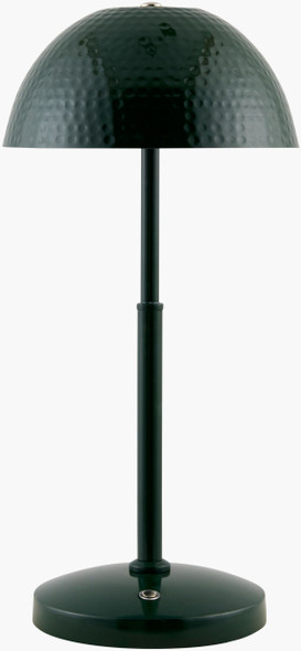 Livabliss Elvas ELV-003 Accent Table Lamp