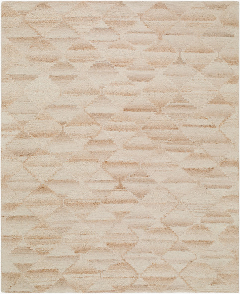 Livabliss Dundee DDU-2306 Rug