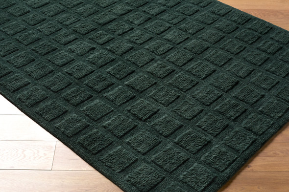 Livabliss Eleve EEV-2302 Rug