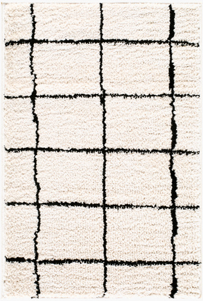 Livabliss Rivoli EDRV-2300 Rug
