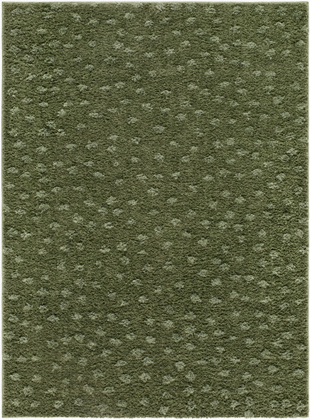 Livabliss Rodos RDO-2357 Rug