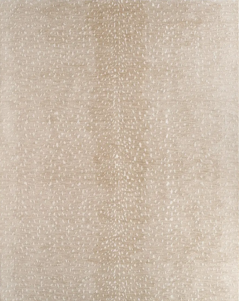 Jaipur Living Paro PVY05 Tan Beige Rug