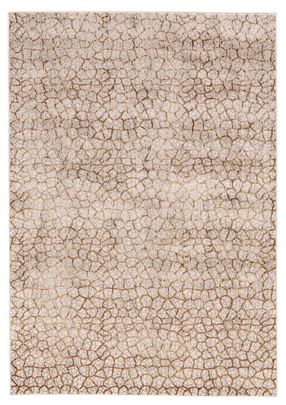 Feizy Cannes 3694F Gray Brown Rug