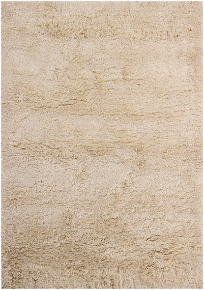 Chandra Bancroft BAN7400 Area Rug