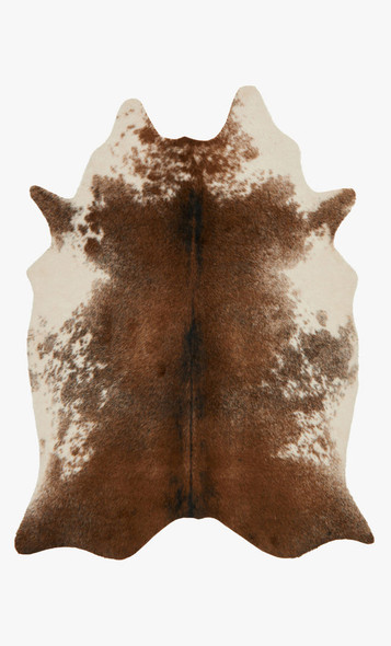 Loloi Grand Canyon GC-14 Coffee Ivory Rug
