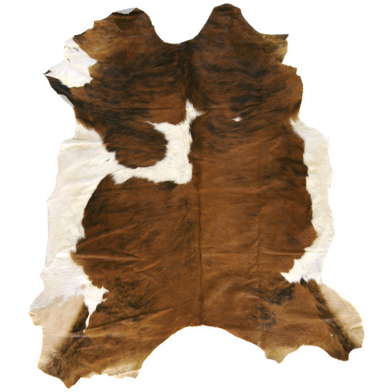 Duke DUK-1001 Rug by Surya