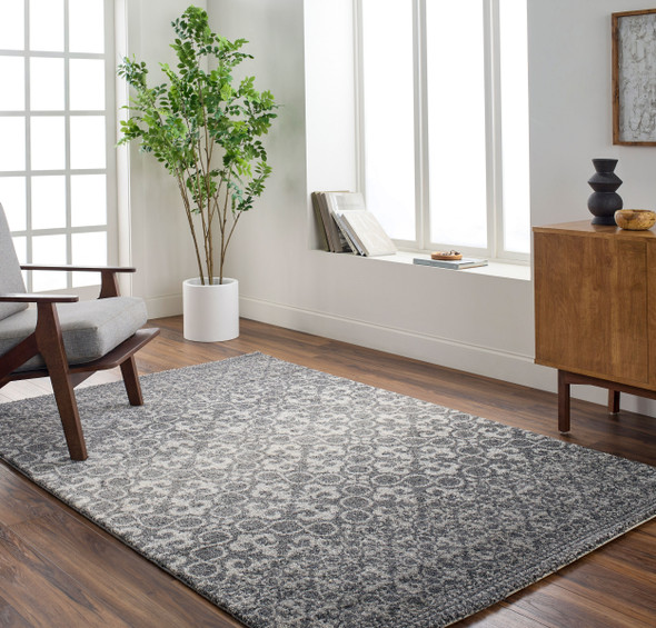 Livabliss Pembridge PBG-1000 Rug