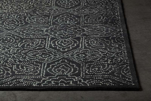 Chandra Hailee HAI-49600 Rug