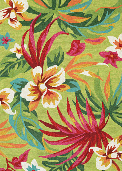 Couristan Covington 4098/4071 Painted Fern Fern/Red Rug