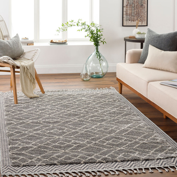 LivaBliss Sousse SUS-2306 Area Rug