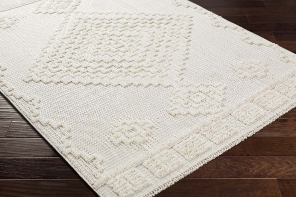 Livabliss Zaragoza ZRZ-2316 Rug