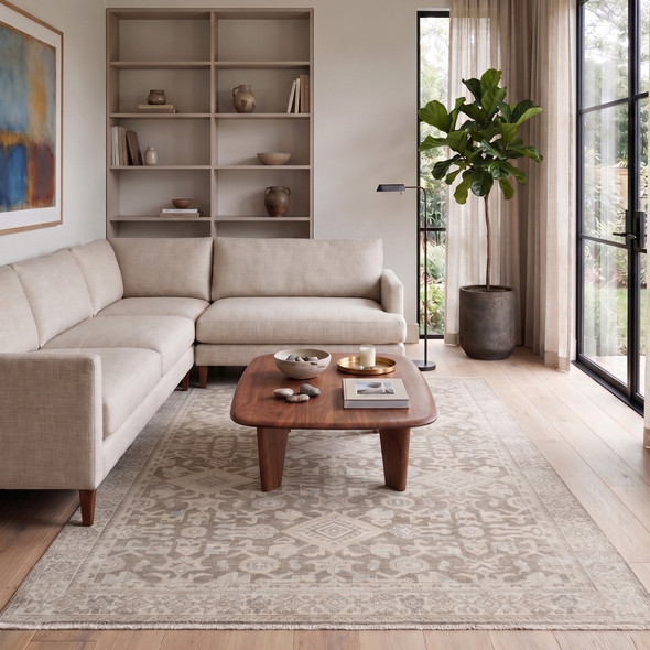 Amer Ainsley AIN-3 Mesilla Taupe Rug