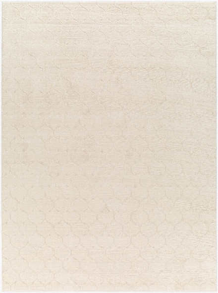 Livabliss Alder ALD-2307 Rug