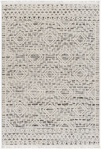 LivaBliss Berlin BLR-2300 Area Rug