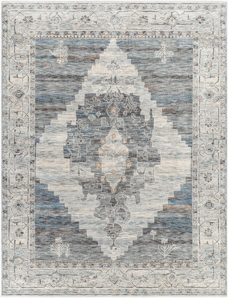 Livabliss Chicago CHG-2314 Area Rug