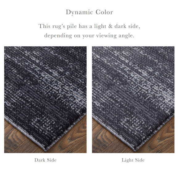 Feizy Deja 39PJF Black Silver Gray Area Rug
