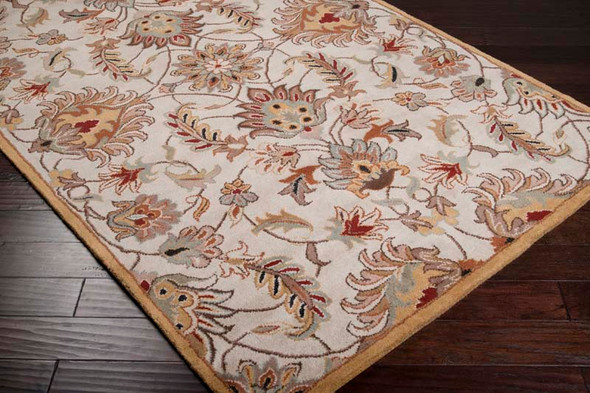 Caesar CAE-1029 Rug by Livabliss