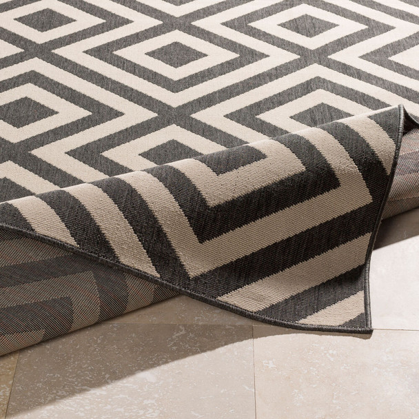 Livabliss Alfresco ALF-9639 Rug