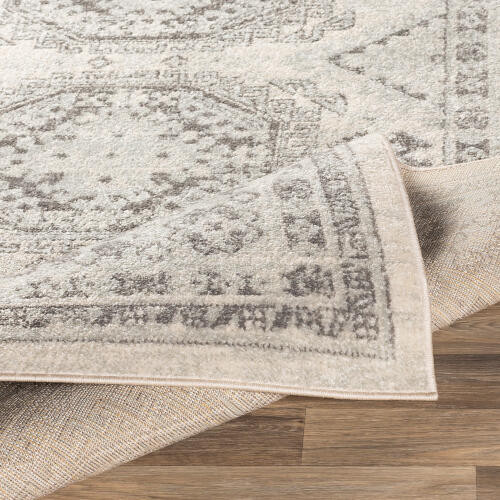 Livabliss Chester CHE-2309 Rug